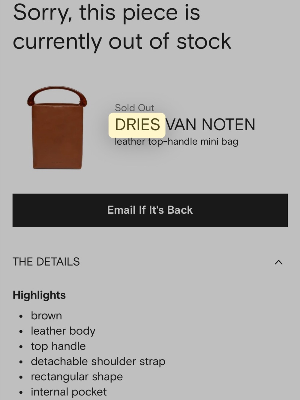 Dries Van Noten Brown Leather Messenger Mini Bag